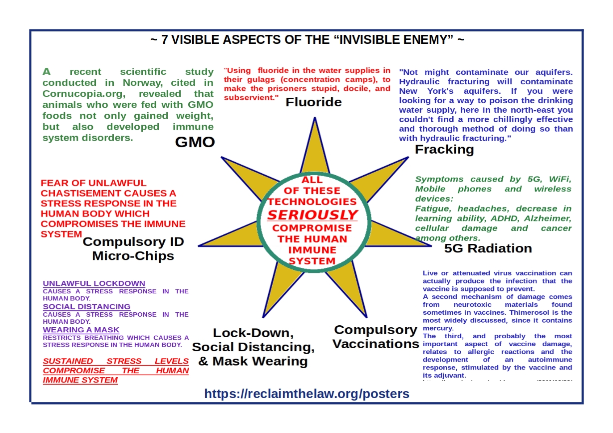 7 VISIBLE ASPECTS OF THE “INVISIBLE ENEMY” 2